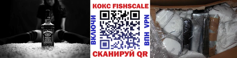 Cocaine Fish Scale  купить закладку  Куйбышев 