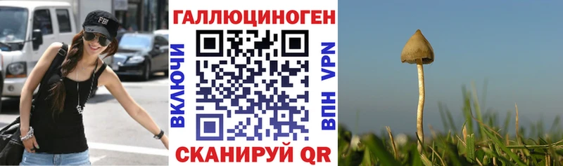 Галлюциногенные грибы GOLDEN TEACHER  это клад  Куйбышев 